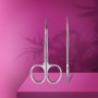 Ножницы STALEKS PRO EXPERT 51/3 с крючком
